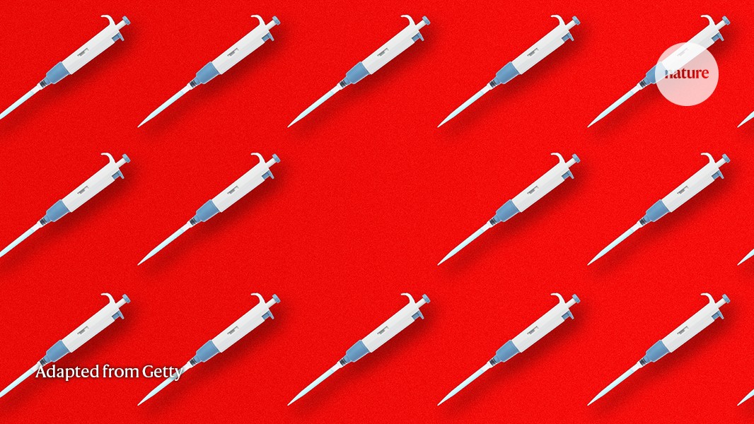 Laboratorio: Cómo evitar que desaparezcan tus herramientas
