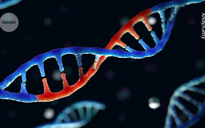 Salud: Terapia genética para Duchenne, poco beneficio y una muerte