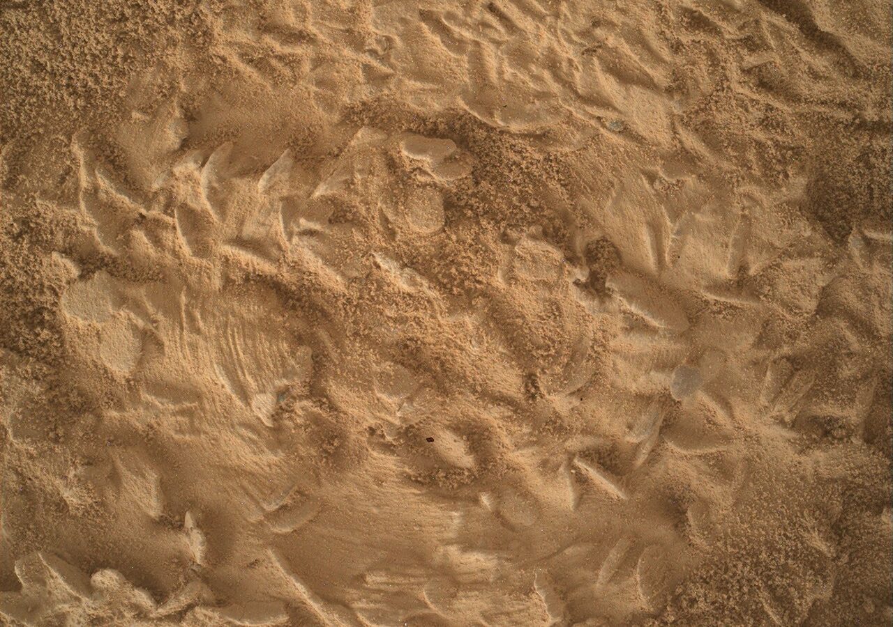Espacio: Curiosity prepara Nazca para estudiar discos y agujas