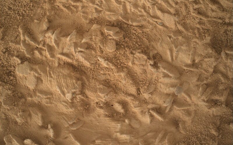 Espacio: Curiosity prepara Nazca para estudiar discos y agujas