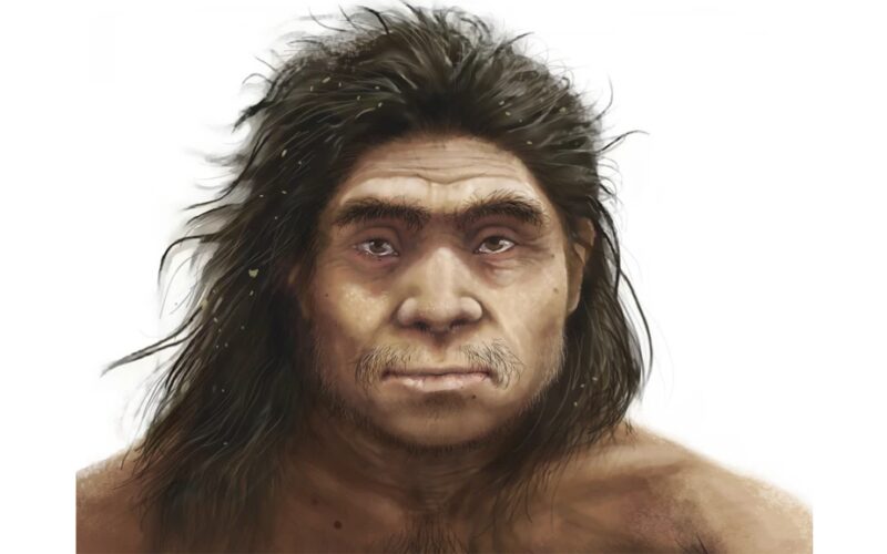Paleo: Veinte fósiles perfilan el rostro de los denisovanos