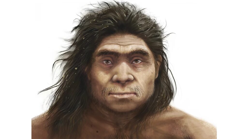 Paleo: Veinte fósiles perfilan el rostro de los denisovanos