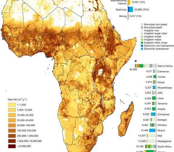 Agua: El riego concentra la demanda de África
