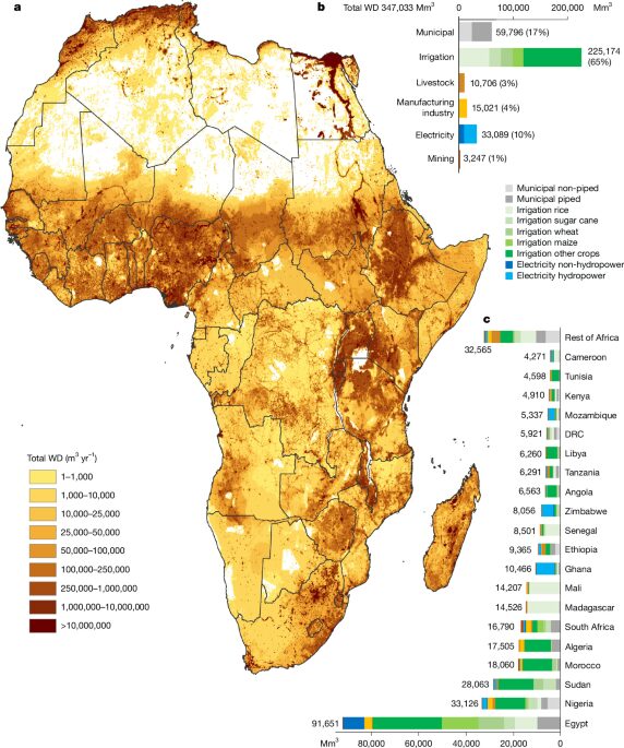 Agua: El riego concentra la demanda de África