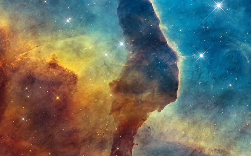 Espacio: Hubble y Webb retratan un gato entre estrellas