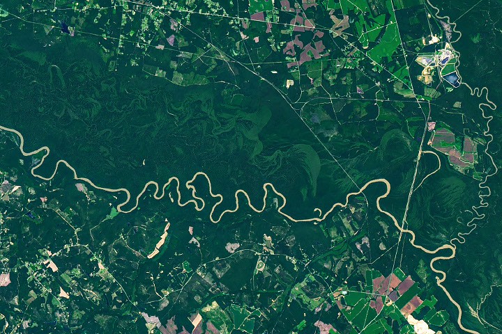 Tierra: El río que dibuja el bosque de Congaree