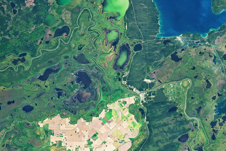 Tierra: Una «isla» agrícola cambia de color entre humedales