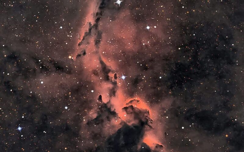 Astronomía: Una trompa cósmica en Cefeo