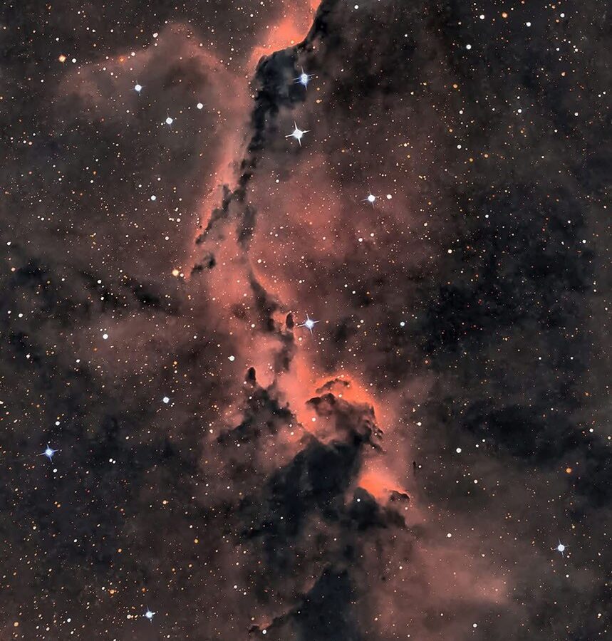 Astronomía: Una trompa cósmica en Cefeo