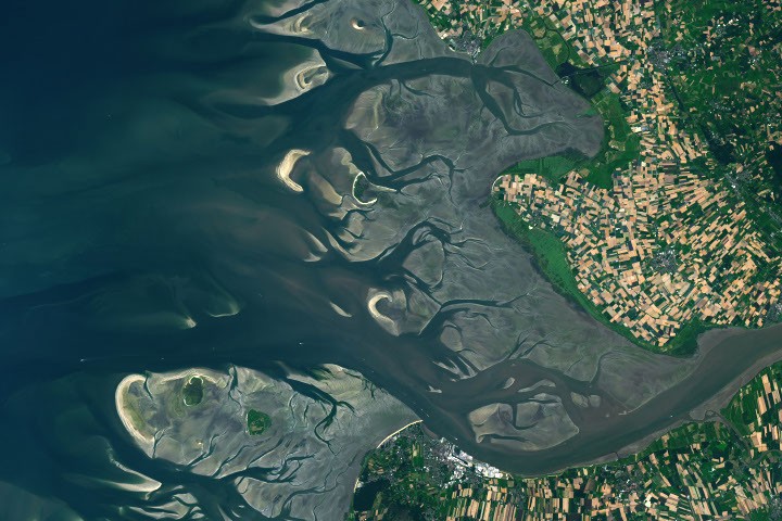 Tierra: El Elba cambia con cada marea
