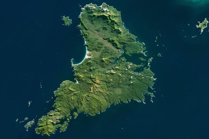 Ecología: La isla neozelandesa de los kiwis y auroras