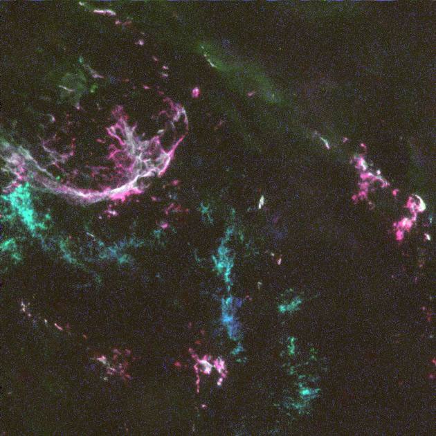 Espacio: NASA corrige una convocatoria ROSES-25