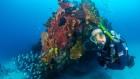 Ciencia: Piden diversificar los fondos para investigar