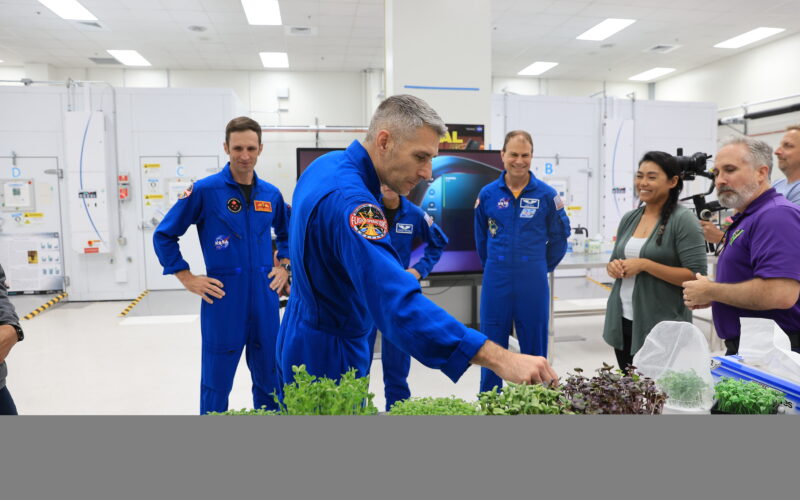 Espacio: Crew-13 estudiará salud y cultivos en órbita