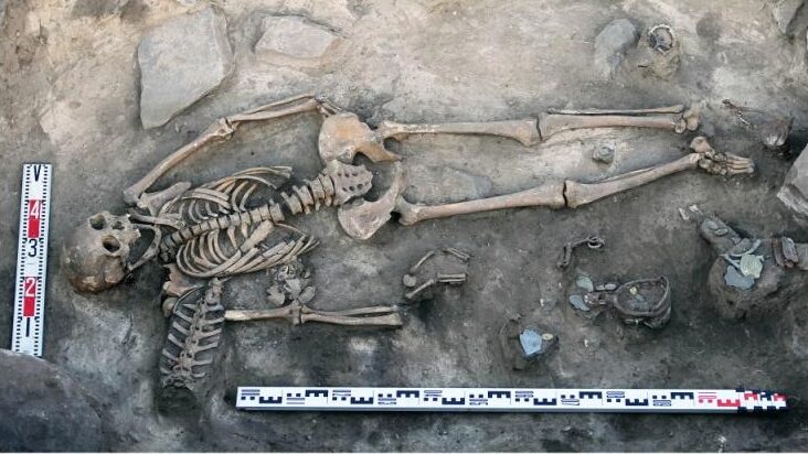 Arqueología: Tumba siberiana con piel de caballo